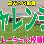 チャレンジカップ2024 枠順確定後シミュレーション【競馬予想】【展開予想】チャレンジC ダノンエアズロック マキシ ラヴェル エピファニー コガネノソラ ボルドグフーシュ アルビージャ