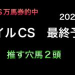 【競馬予想】　マイルチャンピオンシップ　2024  最終予想　マイルCS