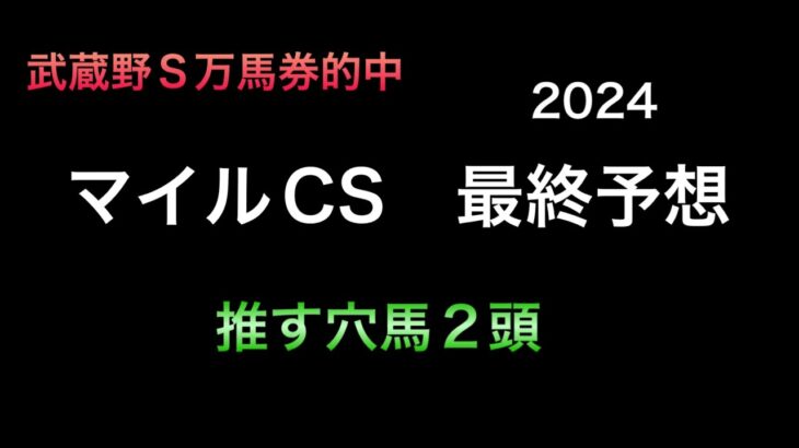 【競馬予想】　マイルチャンピオンシップ　2024  最終予想　マイルCS