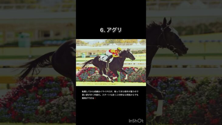 【京阪杯2024】軸馬予想 #京阪杯予想 #競馬予想 #JC2024 #ジャパンカップ