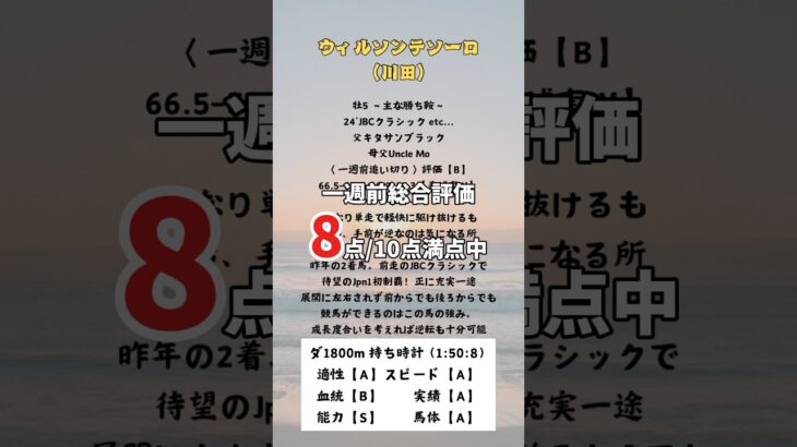 【チャンピオンズカップ2024】出走馬全頭診断① #競馬予想 #g1 #チャンピオンズカップ #ウィルソンテソーロ