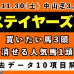 【ステイヤーズステークス2024】過去データ10項目解析!!買いたい馬3頭と消せる人気馬1頭について(競馬予想)