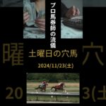 競馬予想 2024/11/23 土曜日の穴馬