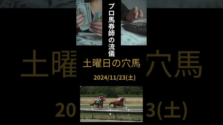 競馬予想 2024/11/23 土曜日の穴馬