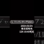 2024/11/24 #ジャパンカップ#東京競馬場#競馬#予想#初心者#馬