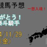 地方競馬予想　2024/11/29　船橋12R [ありがとう！森泰斗騎手]