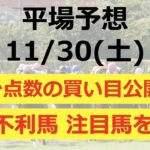 【平場予想】2024/11/30（土） 厳選4レース！葉牡丹賞で勝負！