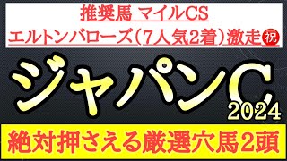 【ジャパンカップ2024】厳選穴馬予想！想定する展開と馬場から激走する可能性ある2頭を公開！