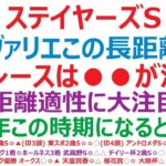 ステイヤーズステークス2024予想　シュヴァリエローズ、3600mの距離はどうなのか？このレースは●●が活躍！◎長距離適性に大注目です。○毎年この時期になると快走！