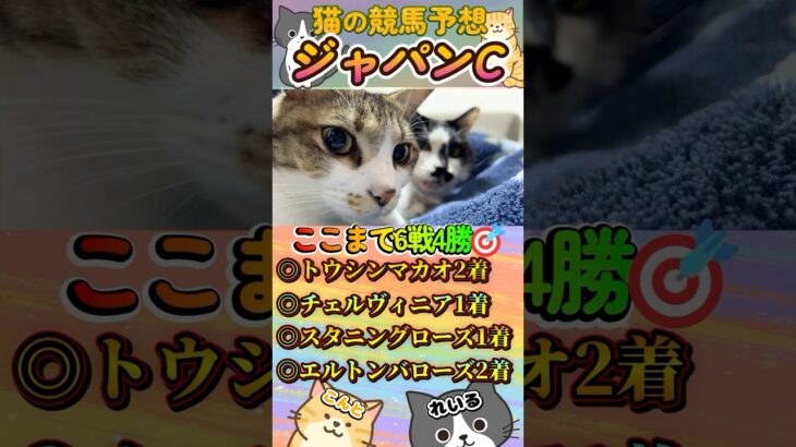 【ネコの競馬予想😸】ジャパンカップ2024🐈秋6戦4的中🎯絶好調！前回も2着🎯まさかの大穴を本命に指名しましたｗ＃shorts＃かわいい＃コント君の競馬予想＃当たる＃競馬＃猫＃義経TV