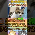 【ネコの競馬予想😸】チャンピオンズカップ2024🐈秋7戦4的中🎯絶好調！今回も絶妙な馬を本命指名しましたｗ＃shorts＃かわいい＃コント君の競馬予想＃当たる＃競馬＃猫＃義経TV