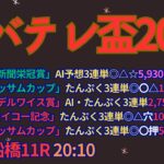 チバテレ盃2024予想【船橋競馬】AI予想＋調教診断＋買い目