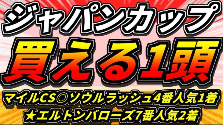 『ジャパンカップ2024』”無視出来ない存在”打倒ドウデュース『傾向から買える馬』【Part1】