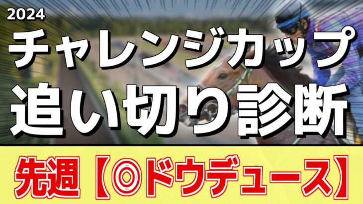 追い切り徹底解説！【チャレンジカップ2024】ダノンエアズロック、マキシなどの状態はどうか？調教S評価は2頭！