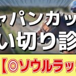 追い切り徹底解説！【ジャパンカップ2024】ドウデュース、チェルヴィニアなどの状態はどうか？調教S評価は2頭！