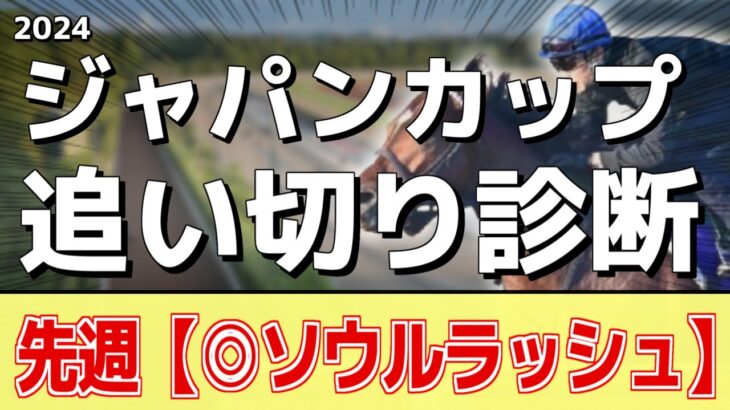 追い切り徹底解説！【ジャパンカップ2024】ドウデュース、チェルヴィニアなどの状態はどうか？調教S評価は2頭！