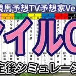 【マイルチャンピオンシップ2024】【競馬予想TV予想家Ver.】ウイポ枠確定後シミュレーション ブレイディヴェーグ ナミュール ソウルラッシュ チャリン セリフォス #3088