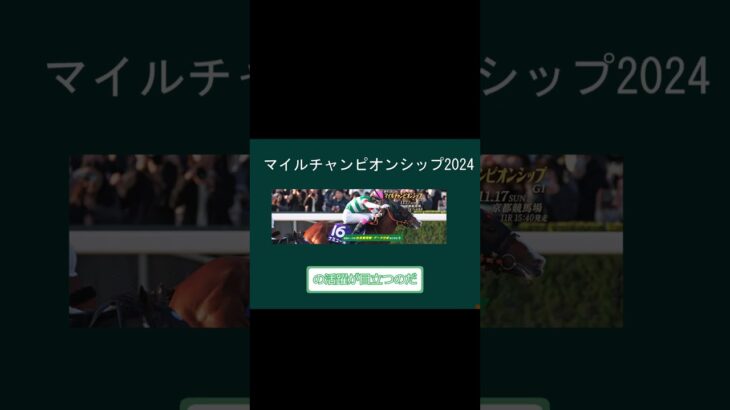 マイルチャンピオンシップ2024予想　#shorts#競馬予想