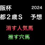 【競馬予想】　京阪杯　京都2歳ステークス　2024  予想