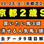 【京都2歳ステークス2024】過去データ9項目解析!!買いたい馬3頭と消せる人気馬1頭について(競馬予想)