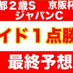 【競馬予想】２０２４　ジャパンC  京都２歳S　京阪杯　 最終予想