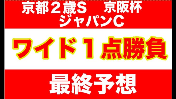 【競馬予想】２０２４　ジャパンC  京都２歳S　京阪杯　 最終予想