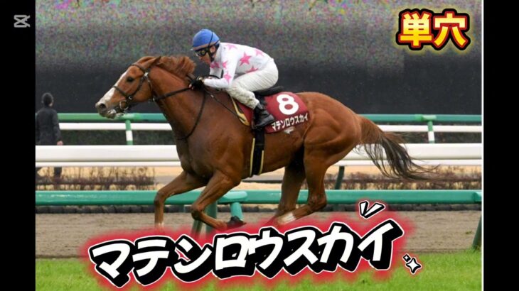 【マイルCS】マフィーの本気競馬予想