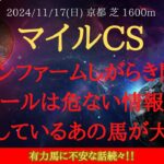 【 最終結論 】マイルCS 2024 予想 ノーザンファームしがらき関連馬・ナミュールは危ない情報が存在！充実しているあの馬が大本命【中央競馬予想】