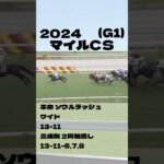 【マイルCS(G1)】”結果発表” #競馬 #競馬予想 #マイルCS #マイルチャンピオンシップ #ナミュール #ソウルラッシュ #ブレイディヴェーグ #チャリン #セリフォス