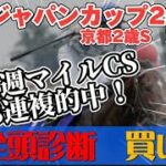 【競馬予想ライブG1】ジャパンカップ2024　京都2歳ステークス　京阪杯　|全頭診断と買い目、最終見解