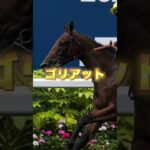 G1ジャパンカップの穴馬を３頭紹介＃競馬＃競馬予想＃穴馬＃JC＃ダノンベルーガ＃ゴリアット＃シュトルーヴェ