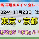 【GⅢ京都2歳S】【競馬全レース予想】【東京・京都】2024年11月23日の平場＆メインの全レースを予想！