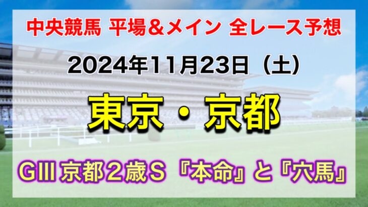 【GⅢ京都2歳S】【競馬全レース予想】【東京・京都】2024年11月23日の平場＆メインの全レースを予想！