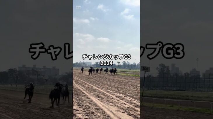 チャレンジカップ G3 2024　競馬予想　＃コガネノソラ＃マキシ＃アウスヴァール＃ボルドグフーシュ＃ダノンエアズロック