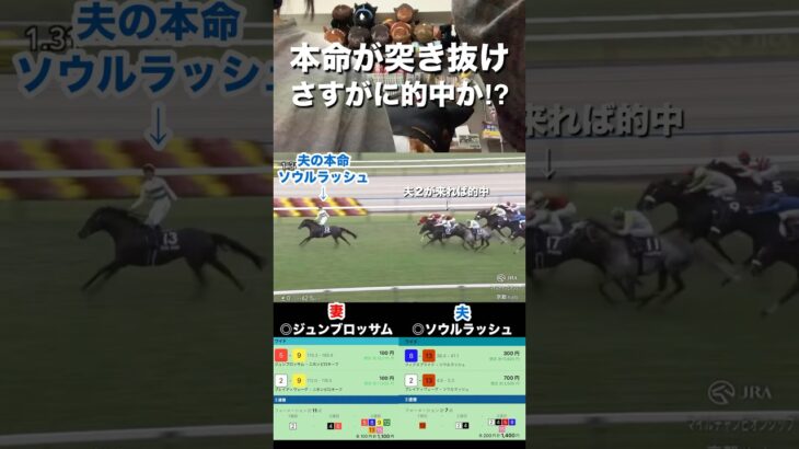 【GIで本命突き抜け】これで外す⁉︎競馬の理不尽をまとめたようなマイルCS #競馬女子 #ジャパンカップ #競馬予想 #馬券勝負 #京阪杯