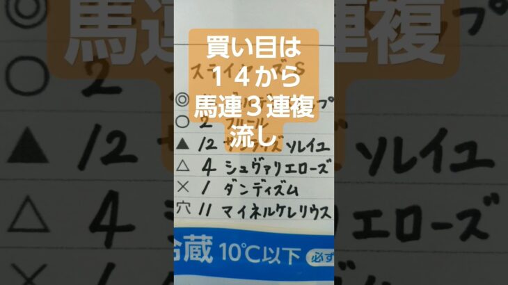 ステイヤーズステークス予想　#ステイヤーズステークス　#競馬 #競馬予想　#中央競馬　#中央競馬予想　#JRA