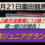 【競馬予想】JpnⅡ兵庫ジュニアグランプリ！～２０２４年１１月２１日 園田競馬場 ：１１－４