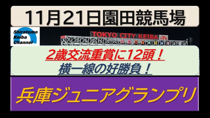 【競馬予想】JpnⅡ兵庫ジュニアグランプリ！～２０２４年１１月２１日 園田競馬場 ：１１－４