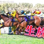 【中央競馬馬券予想】LIVE配信