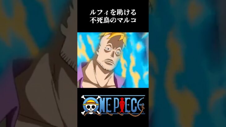 【MAD】ルフィを助ける不死鳥のマルコ #ワンピース #onepiece #アニメ