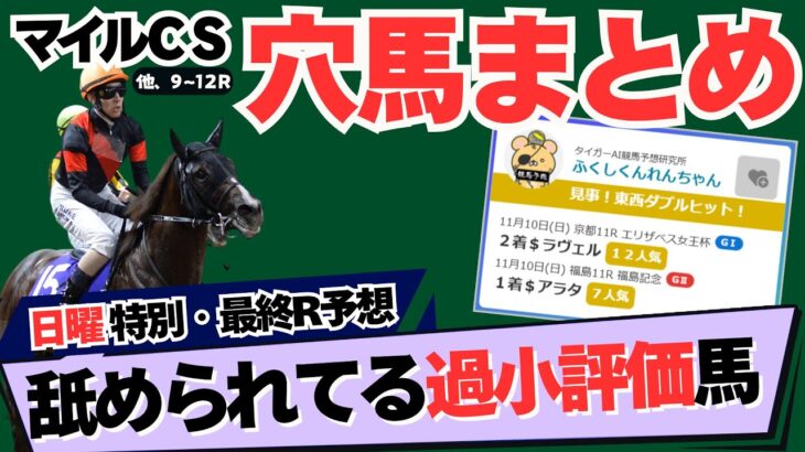 【中央競馬土曜特別R予想】能力上位だが見逃されてる⁉️ マイルチャンピオンシップ2024他、おすすめ穴馬まとめ【競馬予想】