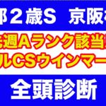 【競馬予想】２０２４　京都２歳S　京阪杯　全頭診断