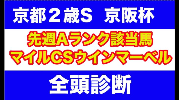 【競馬予想】２０２４　京都２歳S　京阪杯　全頭診断