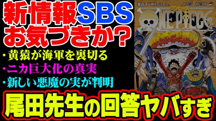 作者が語るワンピースの設定がトンデモなさすぎる！※ネタバレ　注意【ワンピース１１０巻　考察　SBS　ONEPIECE　最新刊】