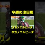 放馬したライトバックの対抗 タガノエルピーダ  #競馬 #競馬予想 #チャンピオンズc #チャンピオンズカップ