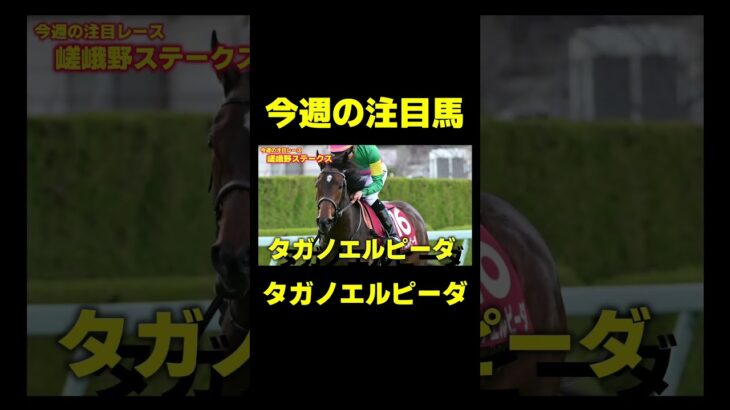 放馬したライトバックの対抗 タガノエルピーダ  #競馬 #競馬予想 #チャンピオンズc #チャンピオンズカップ