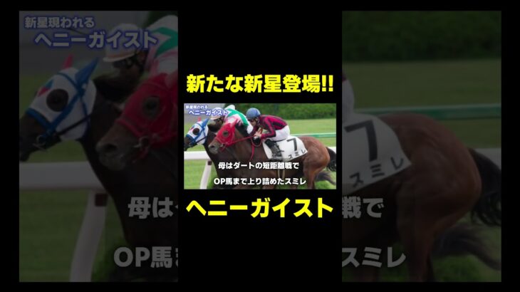 新たなダート界の新星!! ヘニーガイスト　#競馬 #競馬予想 #チャンピオンズc