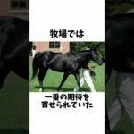 【幻の三冠馬】フジキセキのエピソード #shorts #競馬 #競馬予想 #馬体診断 #ウマ娘 #フジキセキ