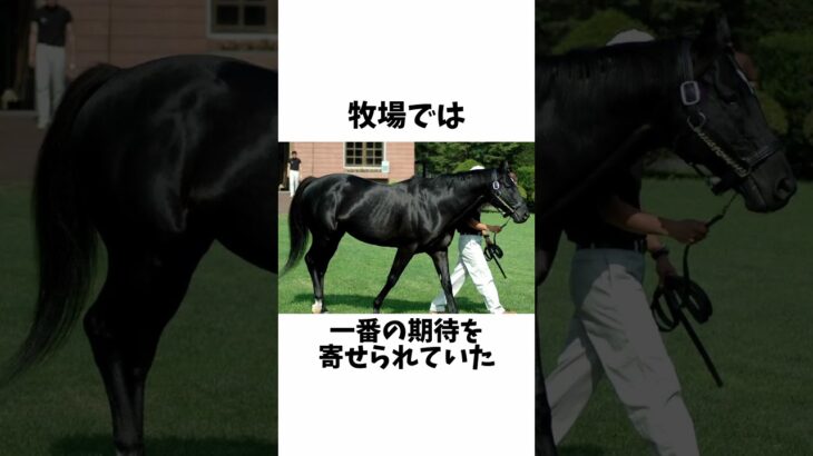 【幻の三冠馬】フジキセキのエピソード #shorts #競馬 #競馬予想 #馬体診断 #ウマ娘 #フジキセキ