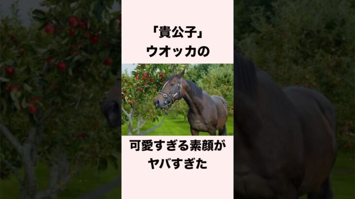 【 競馬 】ウオッカの雑学 【 競馬の雑学 】【 ウマ娘 】 #競馬 #雑学 #ウオッカ #ウマ娘 #shorts